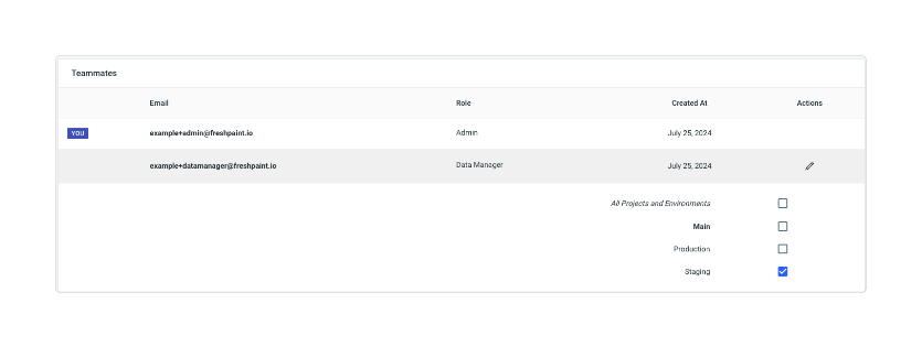 Teams page teammates table showing roles, creation dates, and environment access for each user